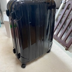 【あげます】キャリーバッグ