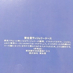 ランジェリーケースの画像