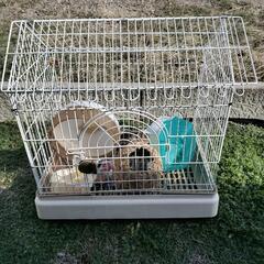 小動物ゲージの画像