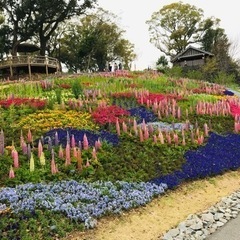 カリフォルニア庭園
