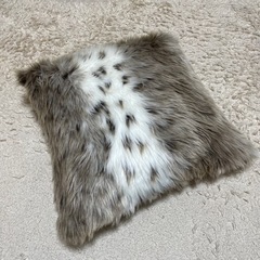 クッションとクッションカバー