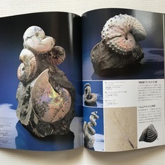 NHK 地球大紀行展 1987の画像