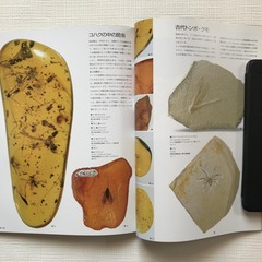 NHK 地球大紀行展 1987の画像