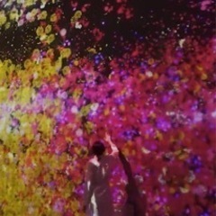 麻布台ヒルズ★チームラボボーダーレス★障害者割引★2人分の画像