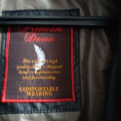 🎀Ｍサイズ　ダウンの画像