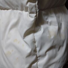 🎀ダウンМサイズの画像