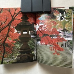 大雄山　大雄山最乗寺開創六百年奉讃の画像