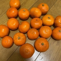 小みかん