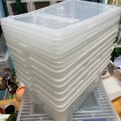 爬虫類　ブリーディングボックスL　7個の画像