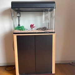 ① ADA90cm水槽 ※価格交渉お受けします！