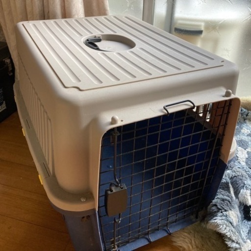 クレート　中型犬