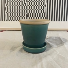 観葉植物　植物鉢 3号《ほぼ新品》