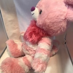 ユニベア　チシャ猫　の画像