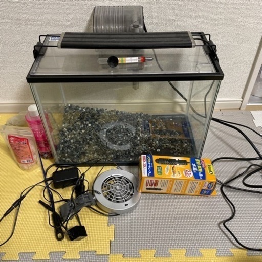 金魚、メダカ等飼育セット