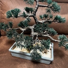 盆栽 置物