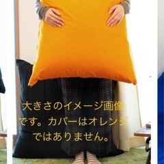 ビッグサイズ　クッション1点　70㎝×70㎝の画像