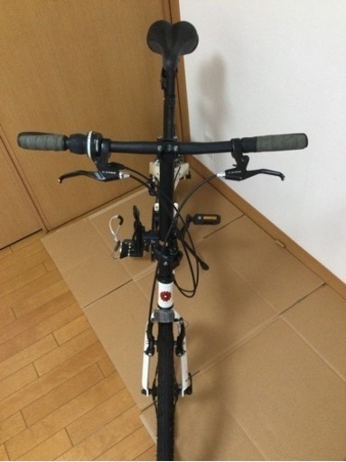 Melon Slice Folding Bike 20インチ折りたたみ自転車