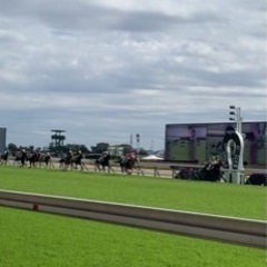 競馬場に行きませんか？競馬でつながりませんか？ - 杉並区