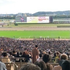 競馬場に行きませんか？競馬でつながりませんか？ - その他