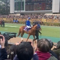 競馬場に行きませんか？競馬でつながりませんか？