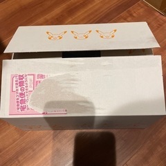 ポケモンカードゲーム スカーレット&バイオレット ハイクラスパック の画像