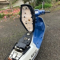タクト　IVY の画像