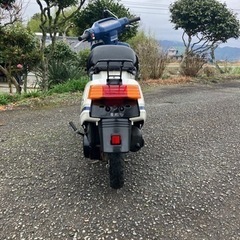 タクト　IVY の画像