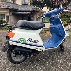 タクト　IVY の画像