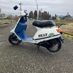 タクト　IVY の画像