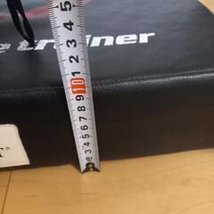 バランスクッションの画像