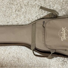 アコースティックギター　Taylor Academy 10