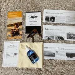 アコースティックギター　Taylor Academy 10