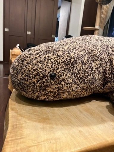 京都市水族館オリジナル　オオサンショウウオぬいぐるみ　特大サイズ