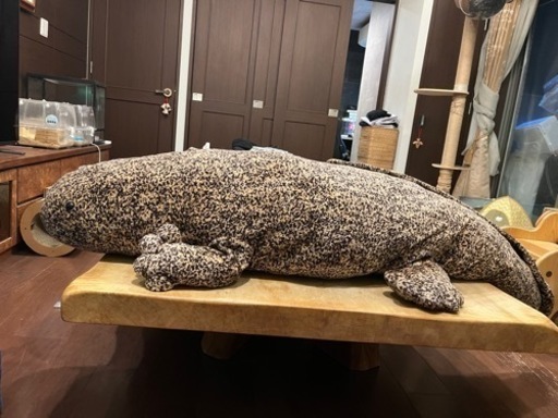 京都市水族館オリジナル　オオサンショウウオぬいぐるみ　特大サイズ