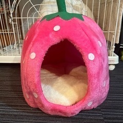 猫　キャット　ベッド　イチゴの画像