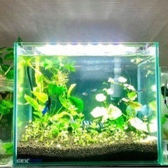 小型水槽3点+LED+フィルター計5点セット！！