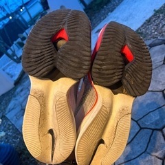 Nike Air Zoom Alphafly Next% の画像