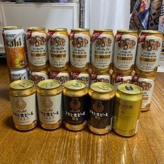いろんなお酒19本
