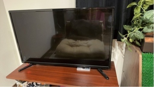家電 テレビ 液晶テレビ