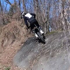 バイクで林の中のコースを走ってくれる仲間をさがしています。 - メンバー募集