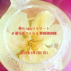 木蓮の花茶つくりと薬膳雛御膳