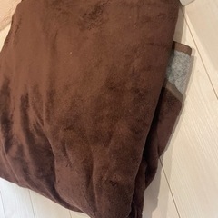 カーペット　マットの画像