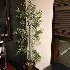 人工竹　人工観葉植物　シュロチク　鉢付き　インテリア