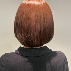 カットモデル　