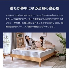 koala NEWコアラマットレス セミダブル すのこベット】