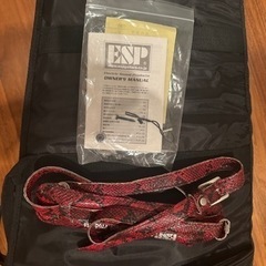 エレキギター　Edwards エドワーズ　Dir en grey DIEモデルの画像