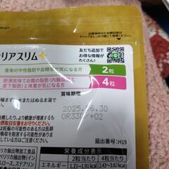 ターミナリアスリムの画像