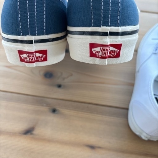 新品vans