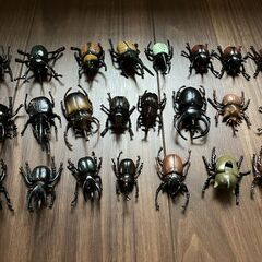 クワガタカブトムシ昆虫フィギュアセット (とあ) 札幌の
