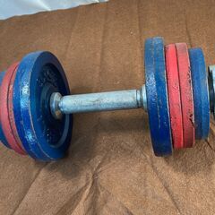 ダンベル 12.5kg
